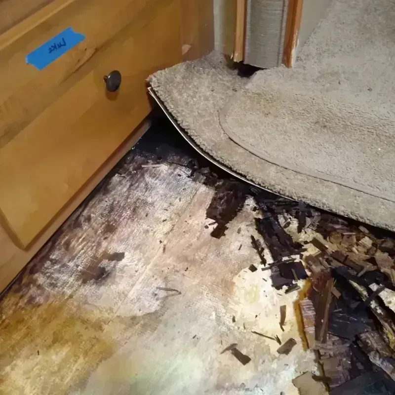 Wood Floor Water Damage in Jupiter, FL